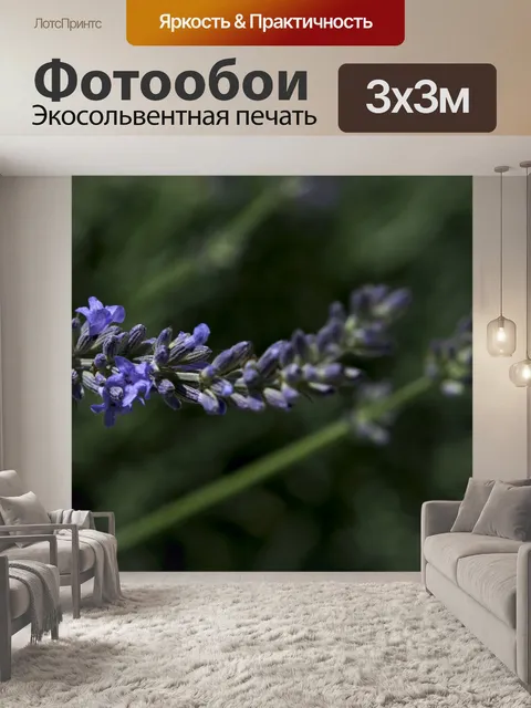 Фотообои Цветы