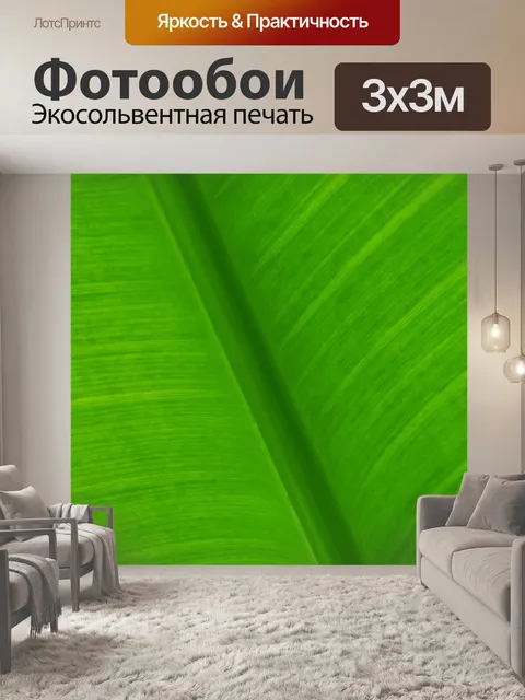 Фотообои Деталь листьев пальмы