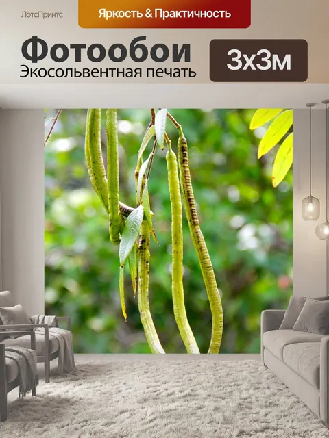 Фотообои Фрукты