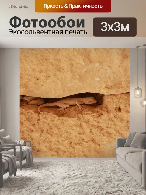 Фотообои Ящерица