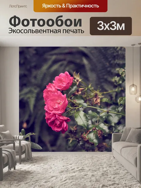Фотообои Роза красного цвета