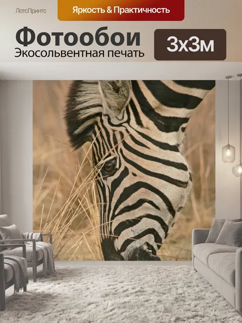 Фотообои одиночный Зебра выпас