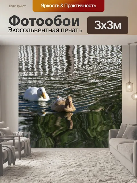 Фотообои Домашние утки