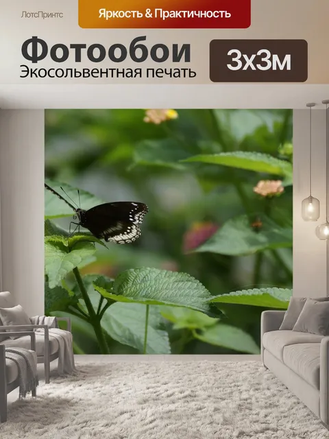 Фотообои Бабочка