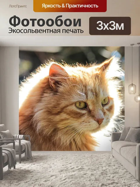 Фотообои Кошка