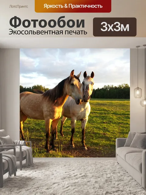 Фотообои Лошади и дружбе