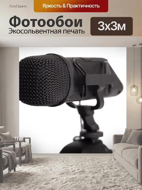 Фотообои Внешний микрофон