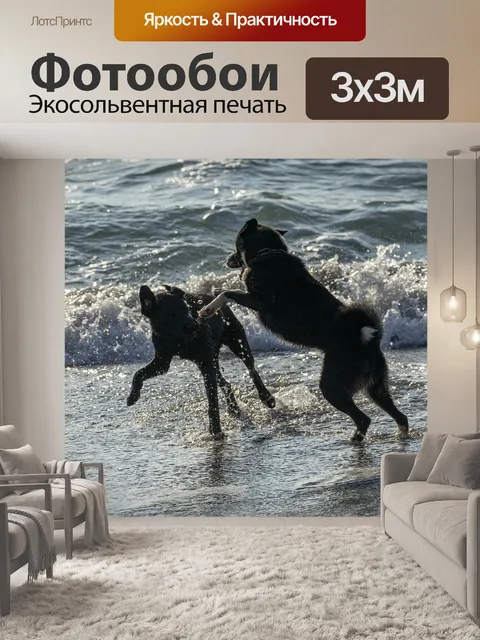 Фотообои Собаки