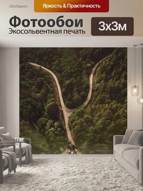 Фотообои Манипуляция