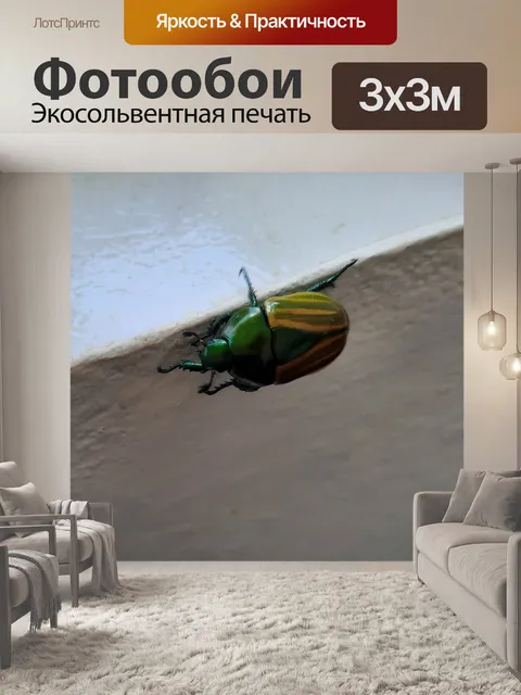 Фотообои Зеленый жук