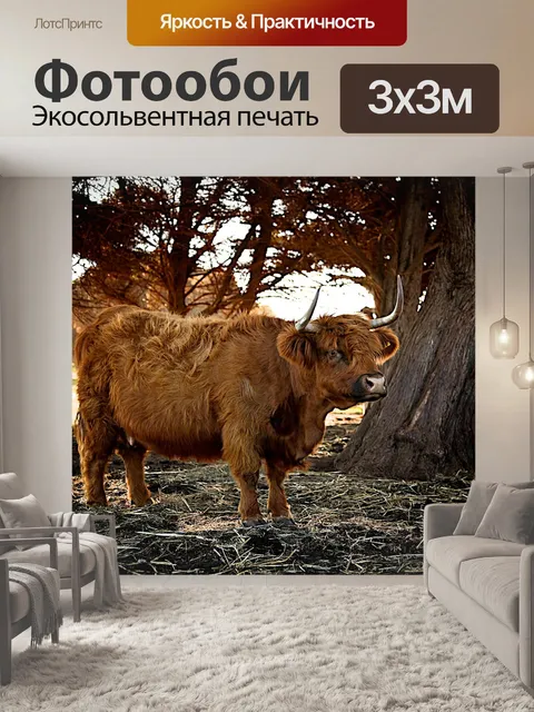 Фотообои Животное