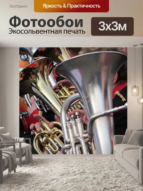 Фотообои Эуфониум и баритон рог