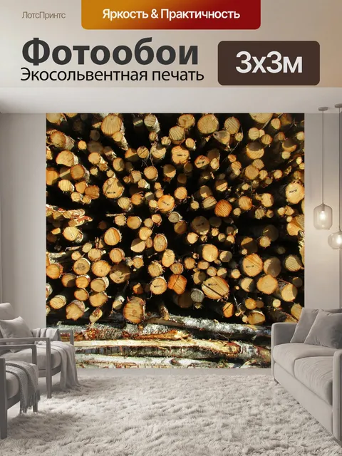 Фотообои Лесное хозяйство