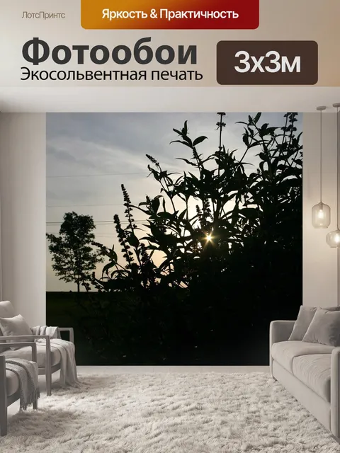 Фотообои Заход солнца