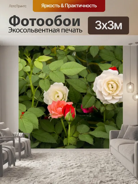 Фотообои Розы маленькие