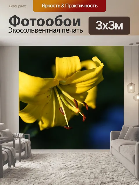 Фотообои Георгин