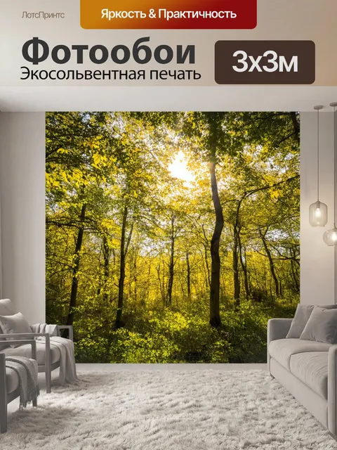 Фотообои солнечный день в лиственном лесу, пение птиц и шуршание листвы, теплая атмосфера