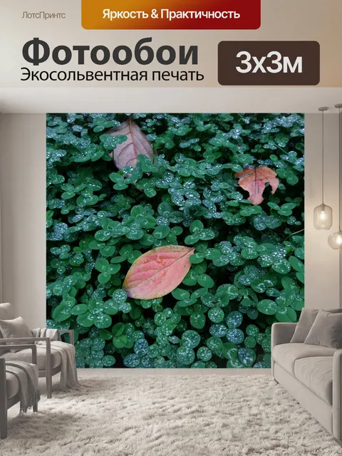 Фотообои Осень