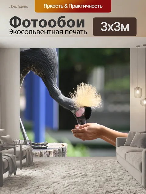 Фотообои Птица