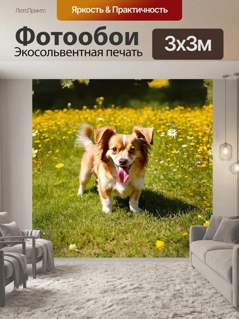 Фотообои маленькая собачка, с золотисто-коричневой шерстью, стоит на травяном газоне, её язык весело выпячивается к…