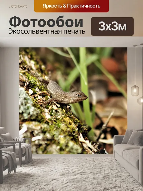 Фотообои Коричневая ящерица Anole на бревне
