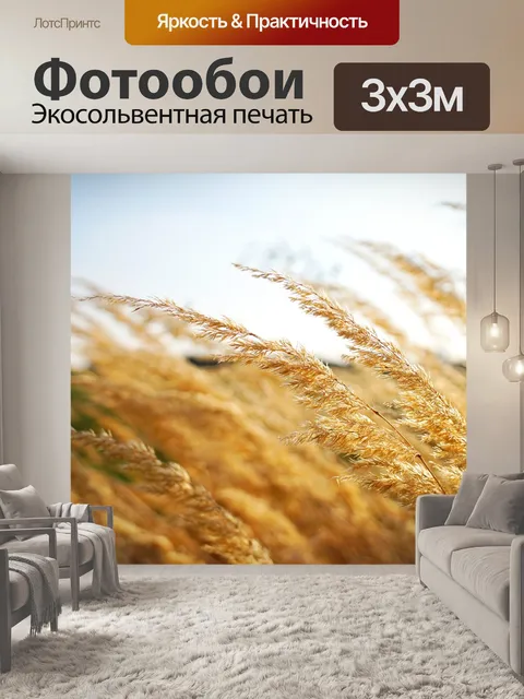 Фотообои Трава