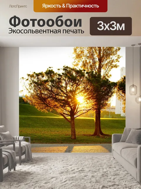Фотообои Против света