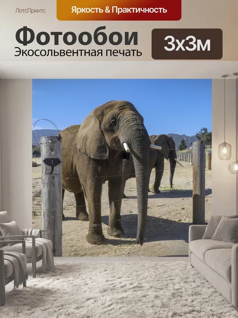 Фотообои Два слона
