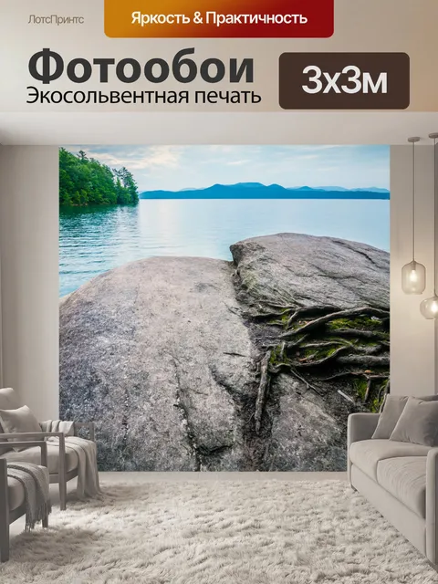 Фотообои Корни камень вода