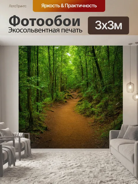 Фотообои с секретными тропами, ведущими к прекрасным местам