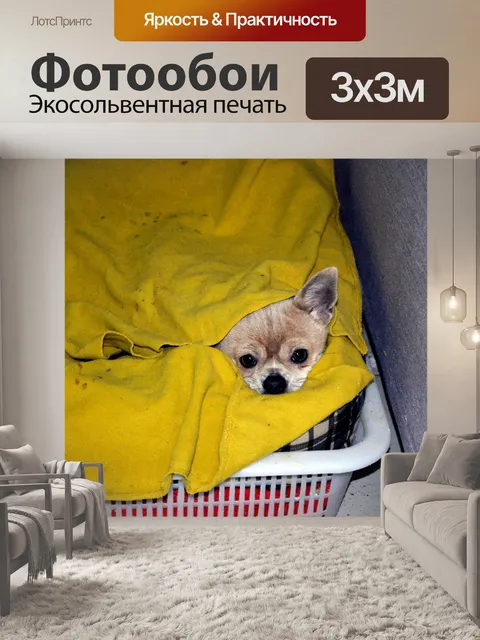 Фотообои Остаться Теплый