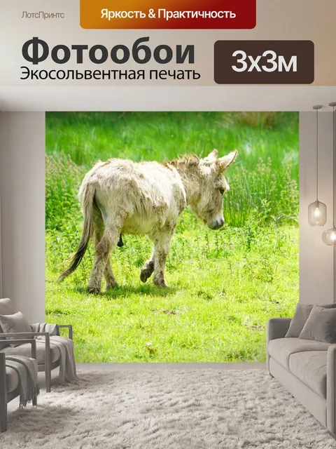 Фотообои Осел на лугу