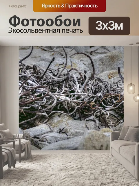 Фотообои запутанная морская водоросль