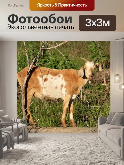 Фотообои Улыбающийся козел, стоящий на дереве
