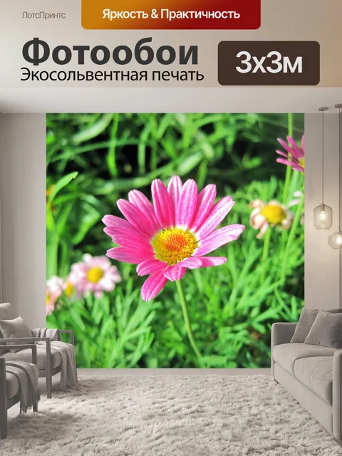 Фотообои Розовый цветок ромашка