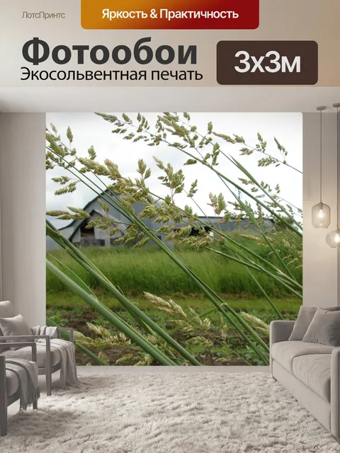 Фотообои На ферме