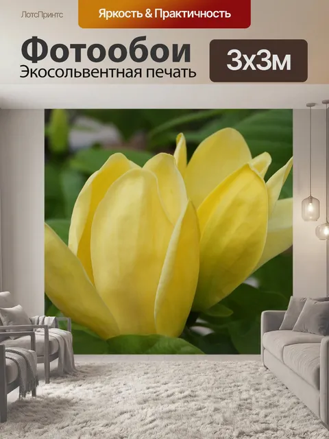 Фотообои Цветы