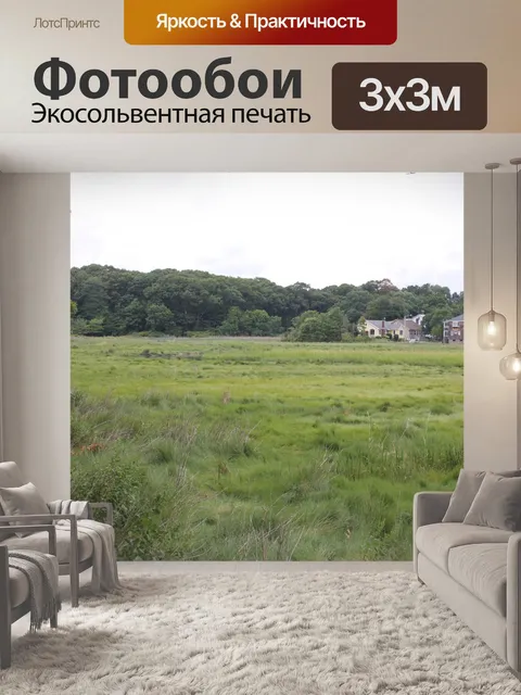 Фотообои Болото, периодически затопляемое морской