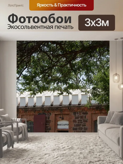 Фотообои Большое дерево в форт-двор
