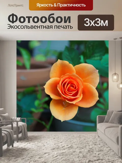 Фотообои Цветок