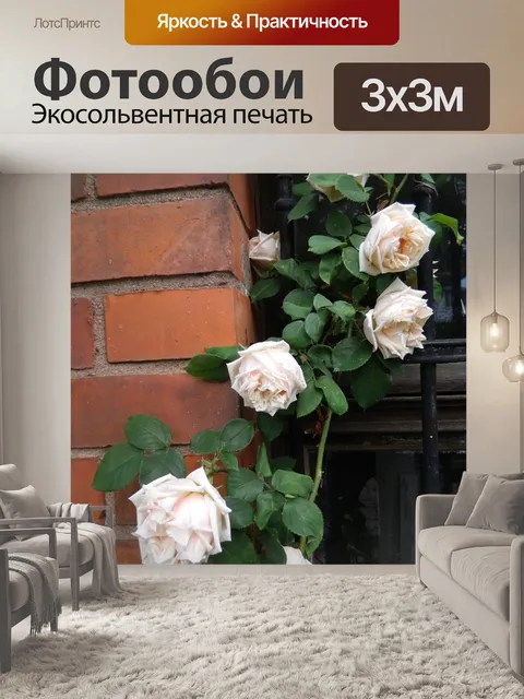 Фотообои Плетистая роза