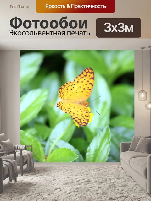 Фотообои черная пунктирная желтая бабочка