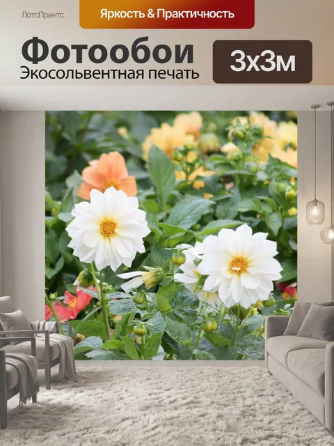 Фотообои Цветы