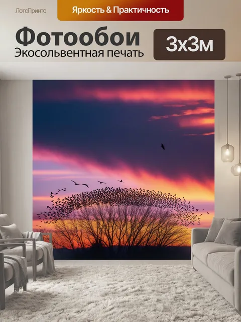 Фотообои птицы в небе на закате
