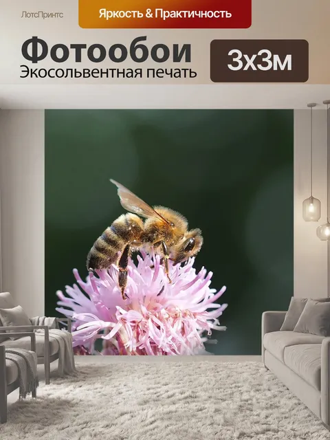 Фотообои Пчела