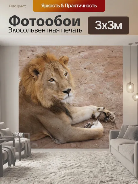 Фотообои Лев