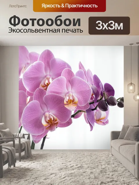 Фотообои Розовые орхидеи на светлом фоне