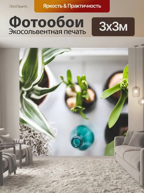 Фотообои Комнатные растения