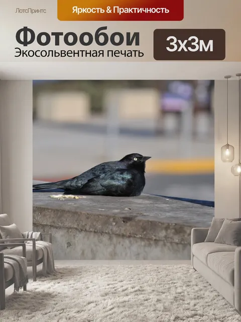 Фотообои Черная птица