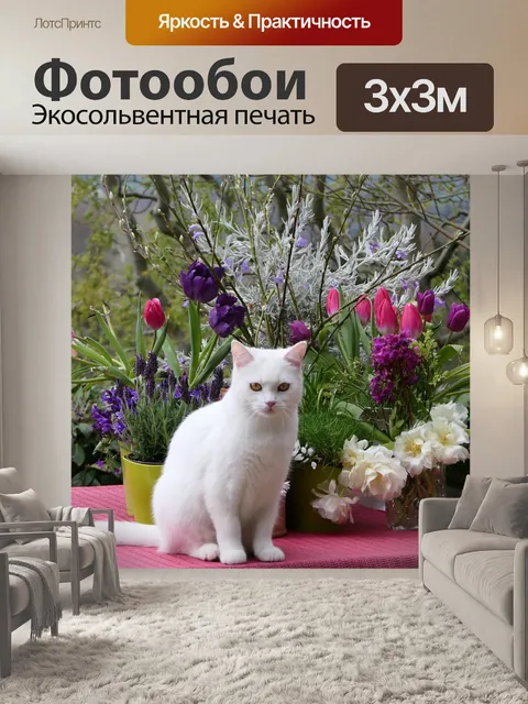 Фотообои Белый кот